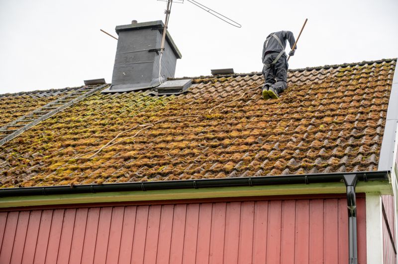 Roof Cleaning and Maintenance